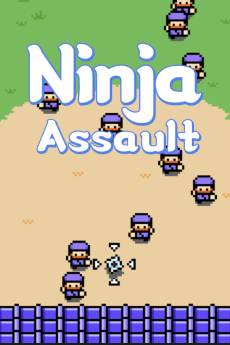 Ninja Assault